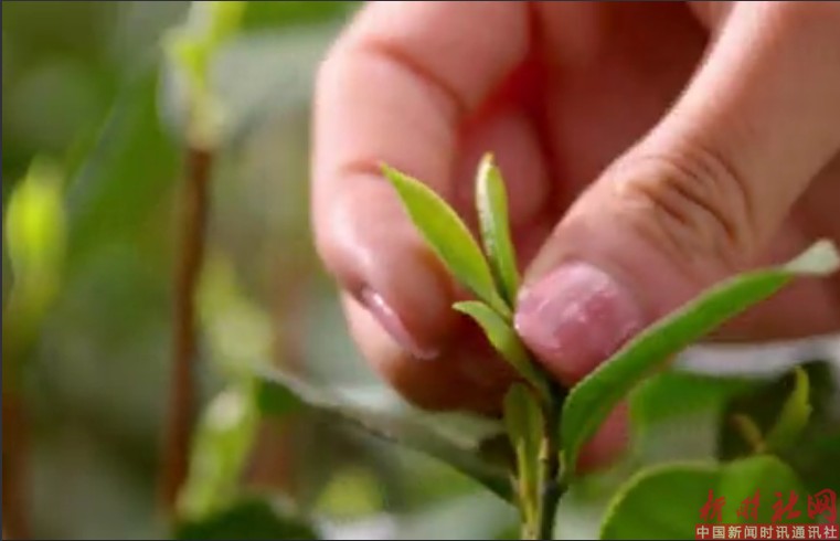 1528979488255067.png d4.png